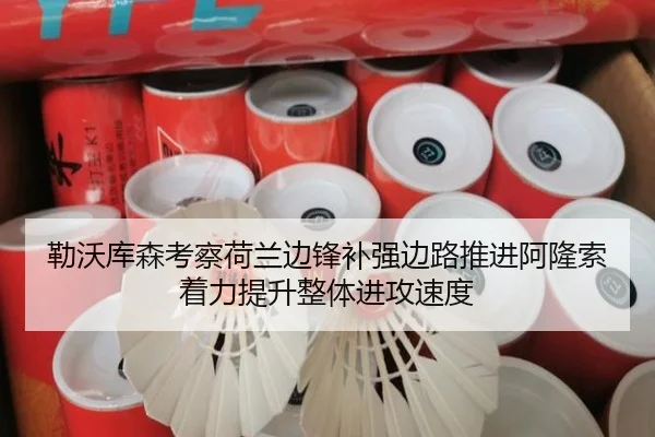 勒沃库森考察荷兰边锋补强边路推进阿隆索着力提升整体进攻速度